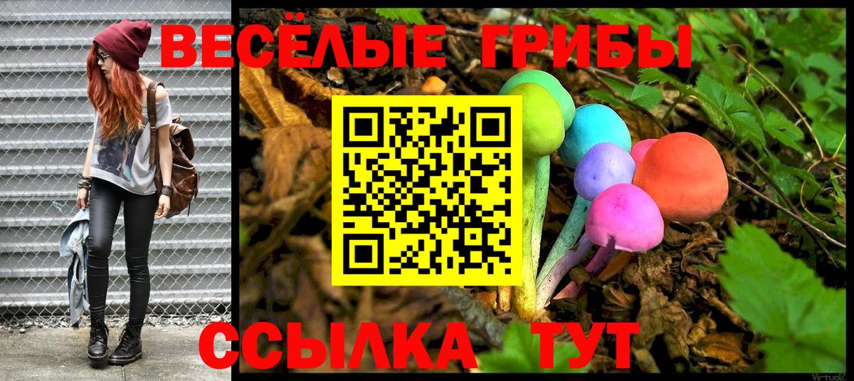Псилоцибиновые грибы мицелий Черногорск