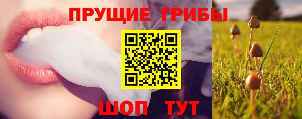 Галлюциногенные грибы GOLDEN TEACHER  Вход с VPN  Черногорск 